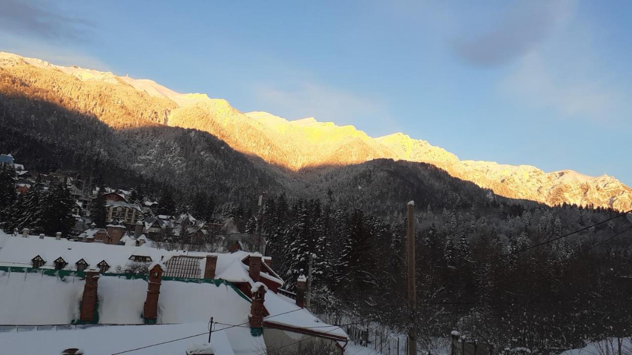 Pensiunea Floare De Colt Sinaia Exterior photo